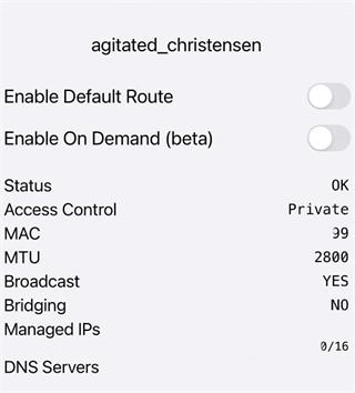 zerotierone汉化版下载,zerotierone,远程app